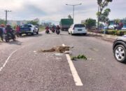 Pengendara Mio Tewas Terlindas Bus Trans Padang, Begini Kronologisnya!