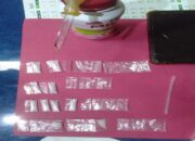 Jualan 11 Paket Sabu-sabu, IRT di Padang Diringkus Tim Rajawali