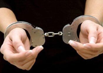 Ilustrasi penangkapan. (net)