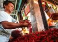 Pengaruh Cuaca Buruk, Harga Cabai di Pariaman Melonjak Naik