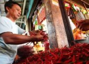 Pengaruh Cuaca Buruk, Harga Cabai di Pariaman Melonjak Naik