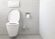 Turunkan Penutup Kloset Sebelum Pencet Tombol Flush! Ini Bahayanya Jika Lupa