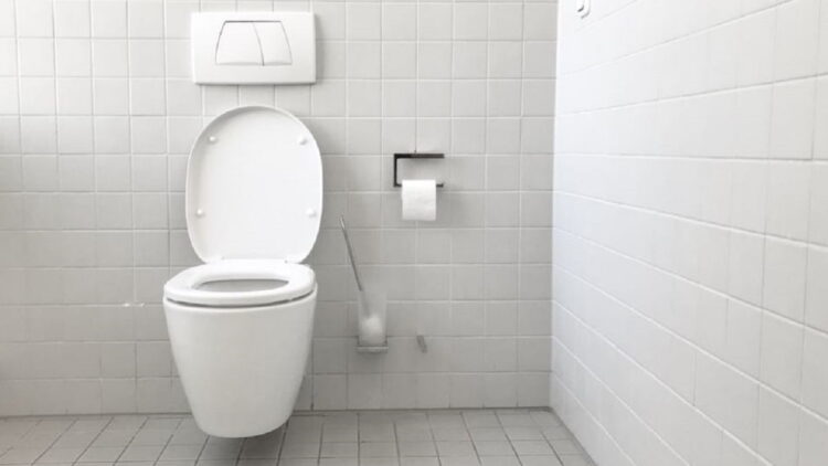 Turunkan Penutup Kloset Sebelum Pencet Tombol Flush! Ini Bahayanya Jika Lupa 1 ilustrasi toilet