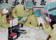 Mengenal Apa Itu Teknologi Laboratorium Medis?