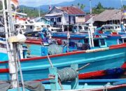 Nelayan Pessel tak Bisa Melaut dampak La Nina, Hasil Tangkapan Turun Harga Ikan Naik