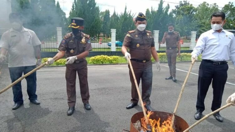 Kejari Pasaman Musnahkan 67 Barang Bukti Perkara Tindak Pidana 1 pemusnahan BB di pasaman