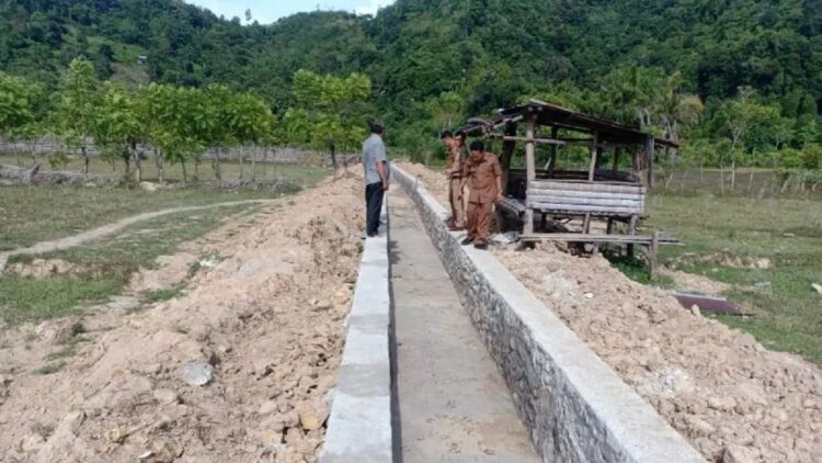 Pengerjaan irigasi di Pessel.