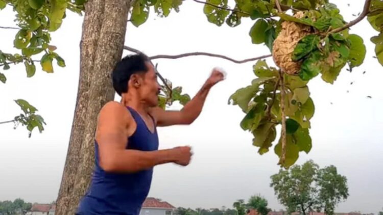 Salam dari Majalengka dengan cara memukul sarang lebah. (Sumber : YouTube/Bang Godeg Pemburu Odeng Majalengka)