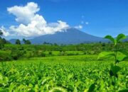 Buka Jalur Pendakian Gunung Kerinci, Pemkab Solsel Gandeng TNI