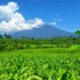Gunung Kerinci. (dok. istimewa)
