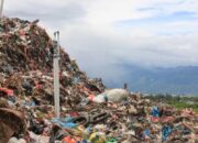 Indonesia Punya Potensi Bioenergi Besar, Biogas dari Limbah Organik