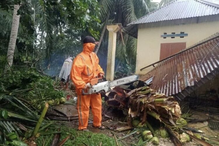 Satgas BPBD Agam sedang membersihkan pohon menimpa rumah warga, Minggu (5/12).