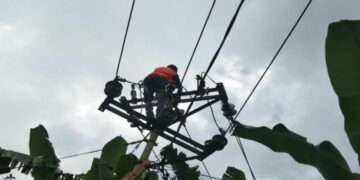 Akibat Gempa di NTT, 7 Orang Terluka, 770 Orang Mengungsi dan 346 Rumah Rusak