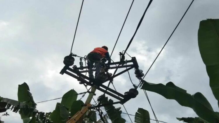 Petugas PLN saat memperbaiki kerusakan pasokan listrik di Pulau Adonara, Kabupaten Flores Timur, NTT, akibat gempa magnitudo 7,4 di Laut Flores, pada Selasa (14/12/2021). (ANTARA/HO-Humas PLN UIW NTT)