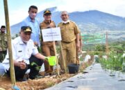 Penanaman Bibit Taxus di Gunung Singgalang, Komitmen Semen Padang untuk Pelestarian Lingkungan