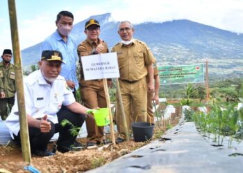 Gandeng Dinas Kehutanan Sumbar, Semen Padang Tanam 1000 Bibit Obat Anti Kanker di Gunung Singgalang