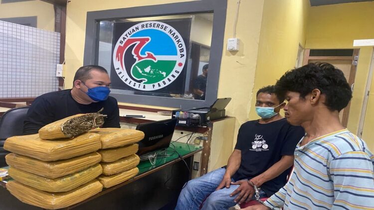 Kasat Narkoba Polresta Padang AKP Dedy Adriansyah Putra menginterogasi pengedar ganja. (IST)