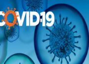 Jokowi: Berhasil Kendalikan Pandemi COVID-19, Tunjukkan Bangsa Kita Mampu Hadapi Tantangan