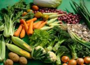 Ternyata, Banyak Konsumsi Sayur Bisa Buat Bahagia