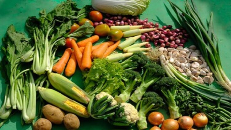 Ternyata, Banyak Konsumsi Sayur Bisa Buat Bahagia 1 ilustrasi sayuran