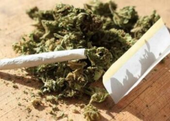 Polres Metro Jakbar Gagalkan Peredaran 254 Kg Ganja dari Sumut, 5 Pelaku Ditangkap