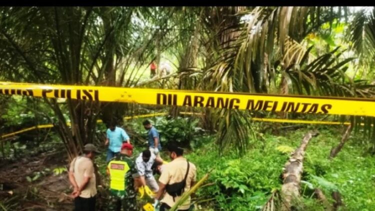 Petugas mengevakuasi kerangka manusia dari lahan perkebunan sawit milik warga di Jorong Padang Bintungan III, Nagari Sialang Gaung, Kabupaten Dharmasraya, Sumbar, Rabu (8/12). (Antara/Ilka Jensen)