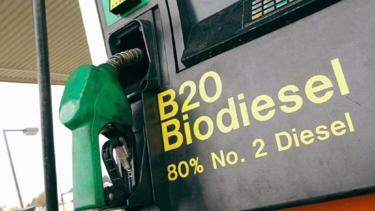 Ilustrasi biodiesel. (net)