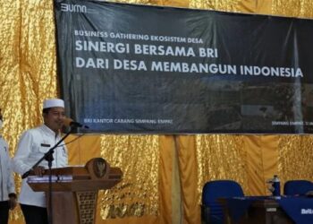 Bantu Tumbuhkan Ekonomi Masyarakat, Pemkab Pasbar dan BRI Bersinergi Berdayakan UMKM