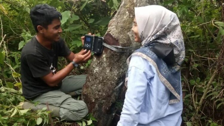"Buru" Beruang Madu, BKSDA Sumbar Pasang Dua Kamera Jebak di Matur Agam 1 Petugas Resor KSDA Agam sedang memasang kamera jebak, Senin (24/1). (Antarasumbar/Yusrizal)