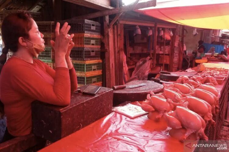 Pedagang ayam broiler di Pasar Serikat Lubukbasung Garagahan.