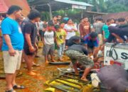 Dua Korban Meninggal, Kecelakaan Empat Kendaraan di Jalinsum Dharmasarya Didalami Polisi