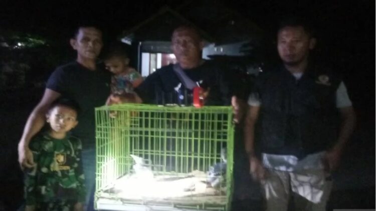 Salah seorang warga Agam Riki Rikardo saat menyerahkan dua ekor burung dilindungi ke petugas Resor KSDA Agam, Senin (24/1) malam. (Yusrizal/Antara)