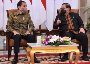 Presiden Jokowi Tegaskan Pandemi Tak Hentikan Upaya Peningkatan Taraf Hidup Rakyat