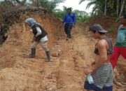 BKSDA Sumbar Verifikasi Laporan Warga soal Kemunculan Harimau di Palembayan, Agam