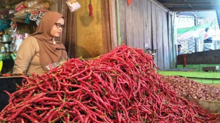 Harga Cabai Pariaman Turun ke Rp36 Ribu Perkilogram Jelang Ramadhan 1 Salah seorang pedagang kebutuhan pokok di Pasar Rakyat Pariaman, Sumbar sedang mengambilkan pesanan pembeli di Pariaman. (Antara/Aadiaat M. S.)