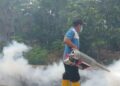 Seorang Warga di Agam Meninggal karena DBD, Dinkes Minta Lakukan Gerakan 3M