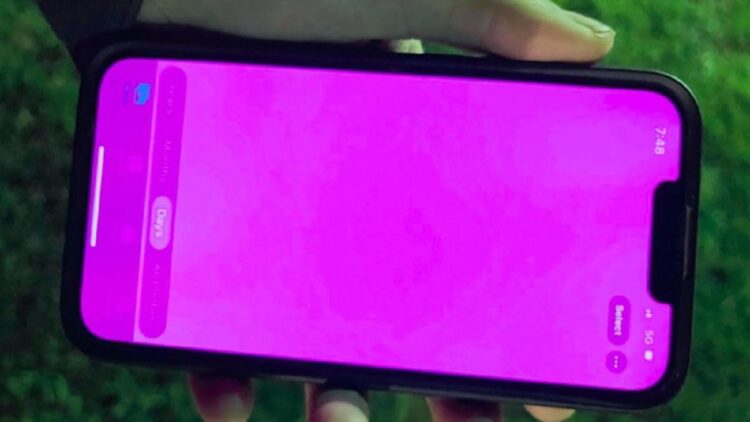 Sejumlah pengguna iPhone 13 keluhkan alami layar pink. (net)
