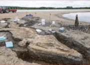 Fosil Ichthyosaurus, Predator Laut Berusia 90 Juta Tahun Ditemukan di Inggris