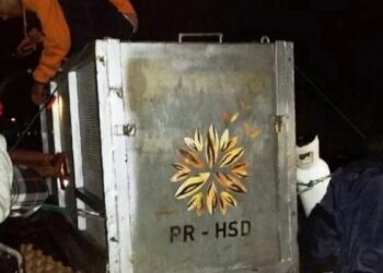 Kena Jerat Babi Hutan di Solok Selatan, Beruang Madu Berhasil Dievakuasi BKSDA Sumbar