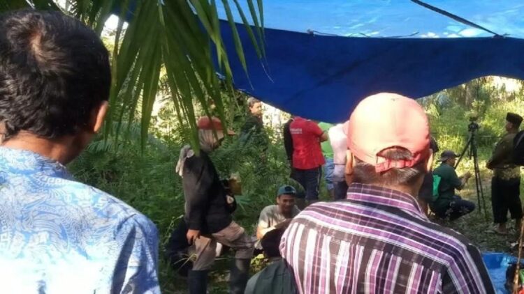 Harimau Sumatera yang Masuk Perangkap di Agam Dievakuasi Petugas Dibantu Warga 1 Evakuasi Harimau Sumatera yang masuk kandang jebakan milik Balai Konservasi Sumber Daya Alam (BKSDA) Sumbar, pada Selasa (11/1) di Maua Hilia, Jorong Kayu Pasak Timur, Nagari Salareh Aia, Kecamatan Palambayan Kabupaten Agam, disaksikan puluhan warga. (ANTARA/Yusrizal)