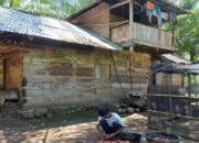 BPS Pessel Sebut Putus Sekolah Picu Kemiskinan Struktural, Perlu Intervensi Pemda