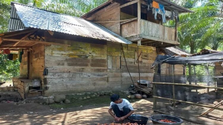 BPS Pessel Sebut Putus Sekolah Picu Kemiskinan Struktural, Perlu Intervensi Pemda 1 Ipal, (13) warga Nagari (desa adat) Lagan Hilir Kabupaten Pesisir Selatan yang putus sekolah akibat faktor biaya. Ia hanya mampu sekolah hingga kelas V SD. (Antarasumbar/Teddy Setiawan)