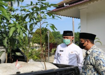 Gubernur Sumbar Apresiasi Program Sejuta Bibit Buah untuk Kemakmuran Masjid