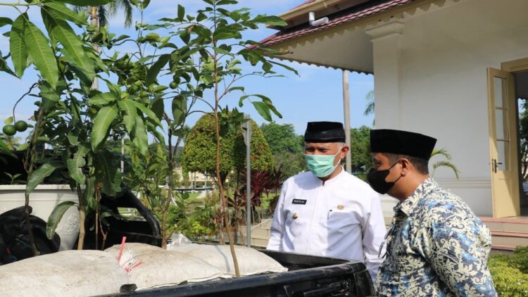 Program Sejuta Bibit Pemprov Sumbar.