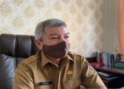 Target Produksi Padi Tahun Ini 61.810 Ton, Ini yang Akan Dilakukan Distan Kota Padang