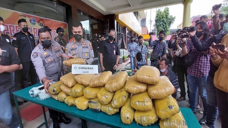 Polresta Padang menangkap pengedar 25 kilogram ganja kering asal Sidempuan. (IST)