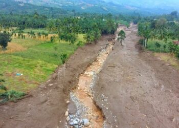 BNPB Tegaskan Video Lumpur Bergerak usai Gempa Bumi di Pasbar Bukan Likuifaksi, Ini Penjelasannya 8 BNPB Tegaskan Video Lumpur Bergerak usai Gempa Bumi di Pasbar Bukan Likuifaksi, Ini Penjelasannya