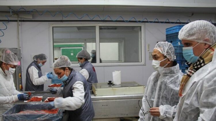 Perkenalkan Kuliner Khas Indonesia, Pabrik Rendang akan Dibangun di Bulgaria 1 Dubes RI untuk Bulgaria, Albania, dan Makedonia Utara, Iwan Bogananta melakukan site visit ke Bella Factory. (Dok Kedubes RI untuk Bulgaria)