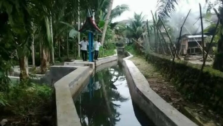 Tingkatkan Produksi Pertanian di Agam, 48 Jalan Usaha Tani dan Irigasi akan Dibangun Tahun Ini 1 Irigasi yang selesai dibangun. (Antara/Yusrizal)