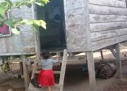 Duh! 5.988 Anak Putus Sekolah di Pessel Berasal dari Keluarga Miskin